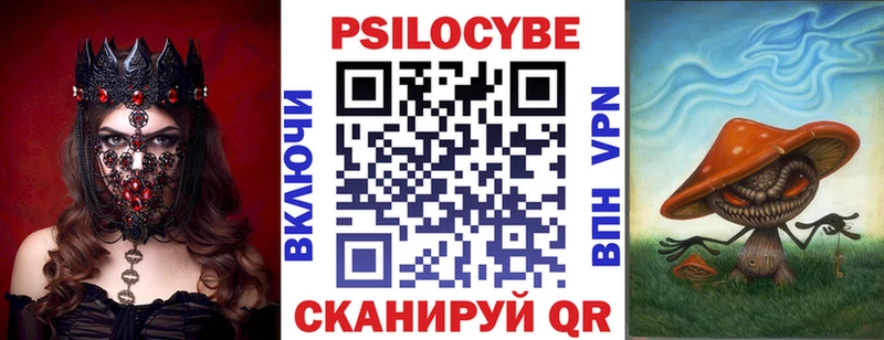 закладка  Сердобск  Псилоцибиновые грибы GOLDEN TEACHER 