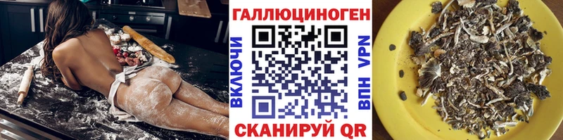 Псилоцибиновые грибы мицелий Сердобск