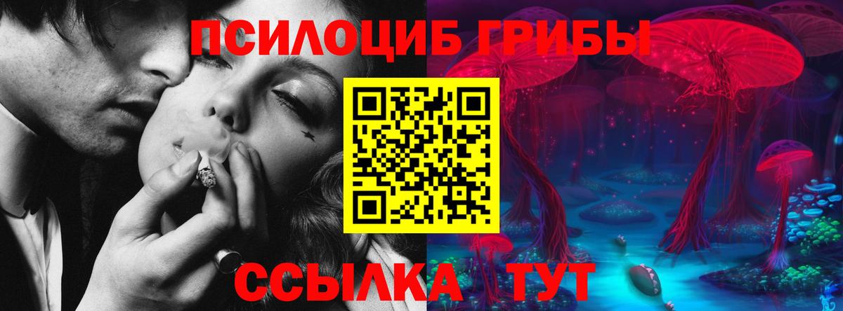 Псилоцибиновые грибы мухоморы Сердобск